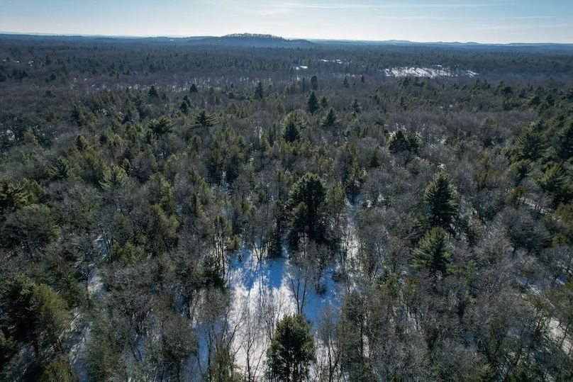 Adams 25, Nessler -75