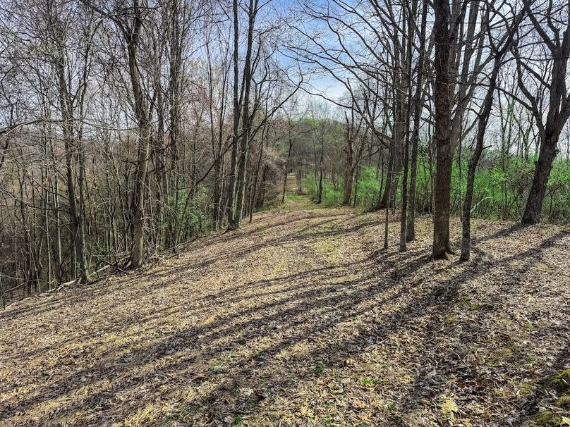 Ritchie, WV 206.08 AC Curriden-36