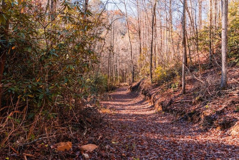 Horseback riding, hiking or 4-wheel fun