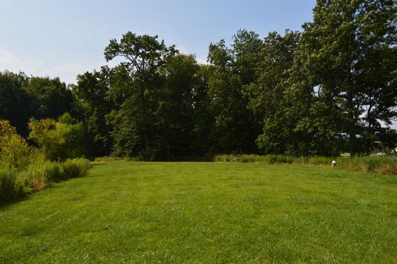 Looking on far side of pond