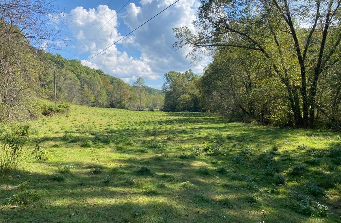 001 northern most edge of the fields along the creek looking southeast