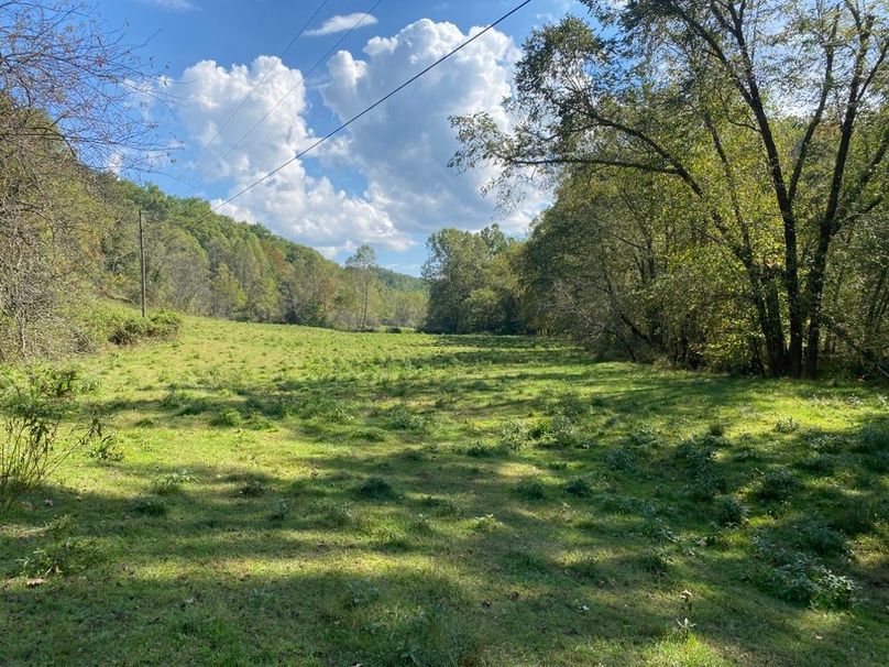 001 northern most edge of the fields along the creek looking southeast