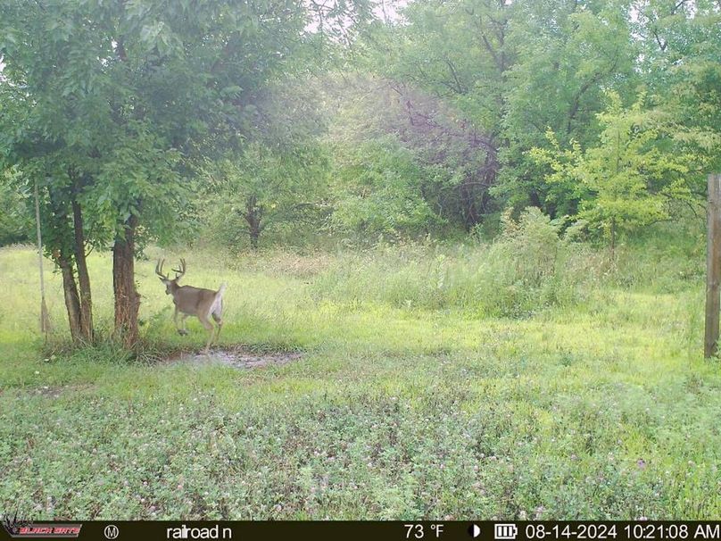 blackgate-media_176366329609231