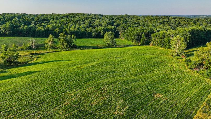 dji_fly_20250705_195548_0427_1751759910086_photo