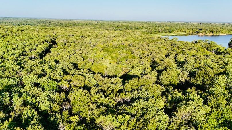 dji_fly_20250728_075446_0038_1753739713039_photo