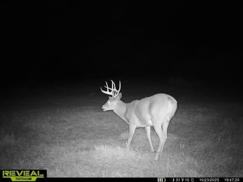 865509050128614-50-4-10232025194730-W1029636