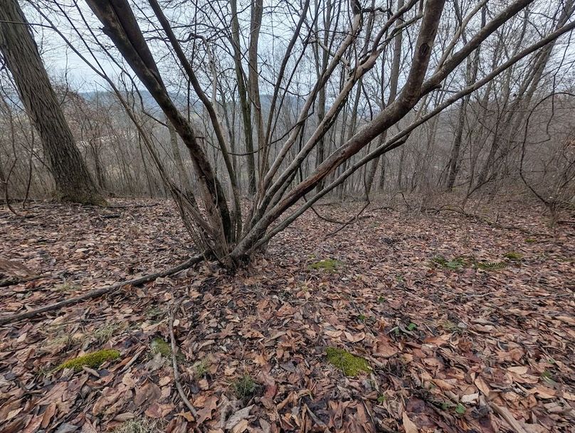 PXL_20260107_165143372