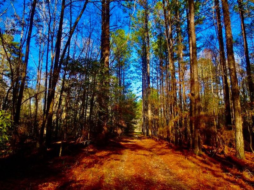 B90F5C63-7319-479F-8331-07628293CD5D_1_105_c