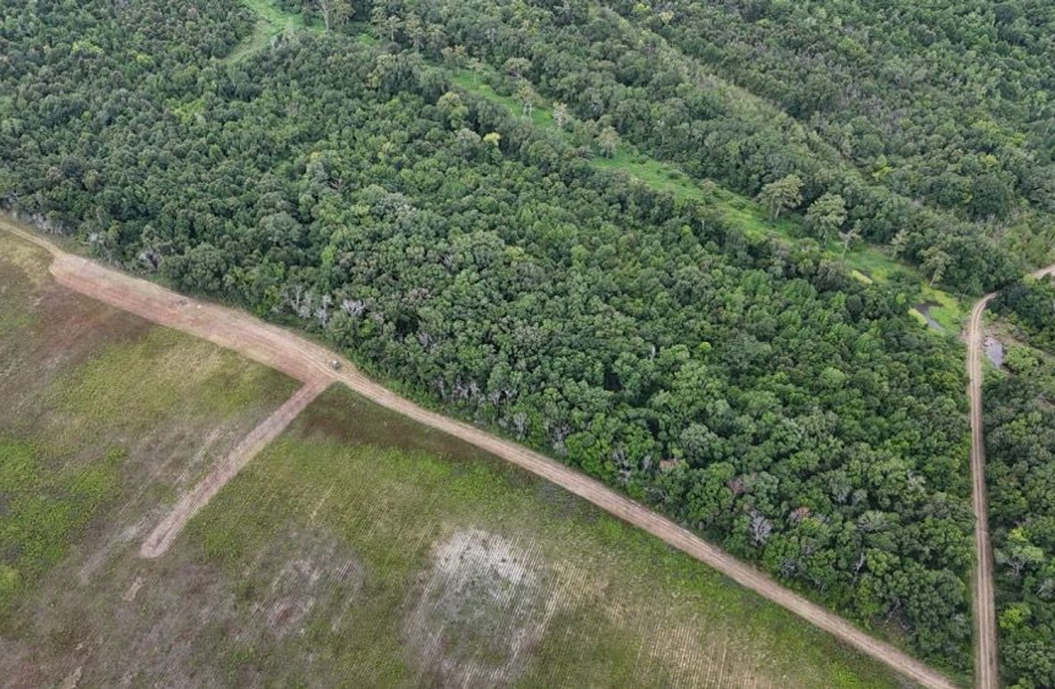 DJI_20250802035403_0556_D