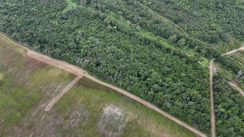 DJI_20250802035403_0556_D