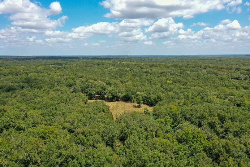 41 Leon Co. 117ac-45