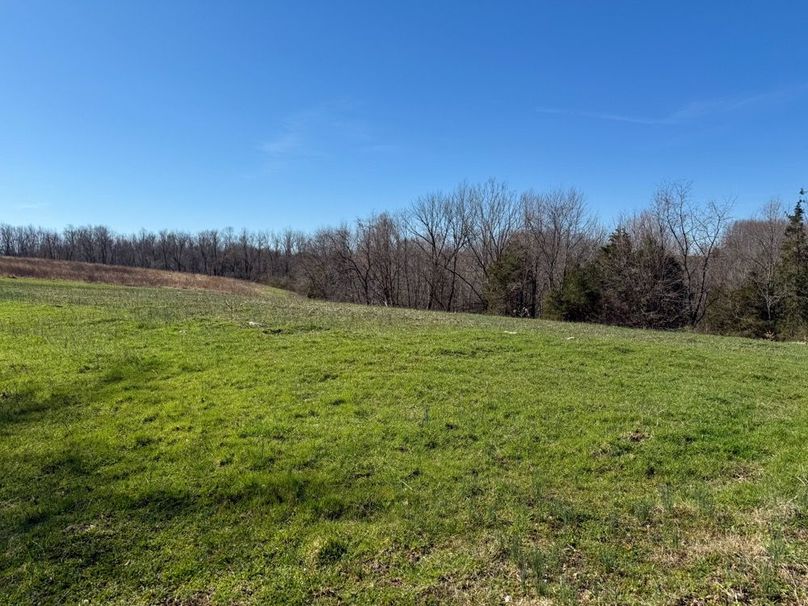 Fleming Petry 120-085