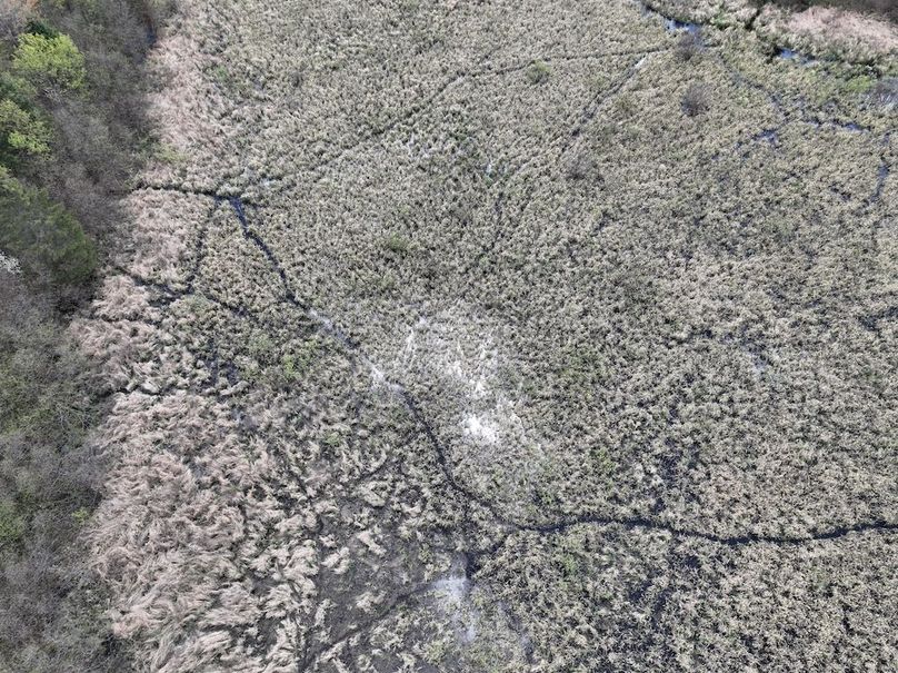DJI_0405