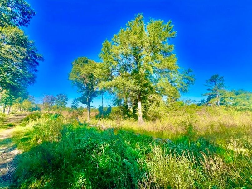 CE810744-E6EC-470C-BDD3-18999E7C6987_1_105_c