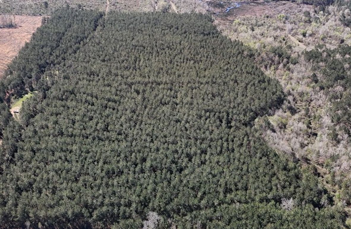 DJI_20260318001911_0125_D