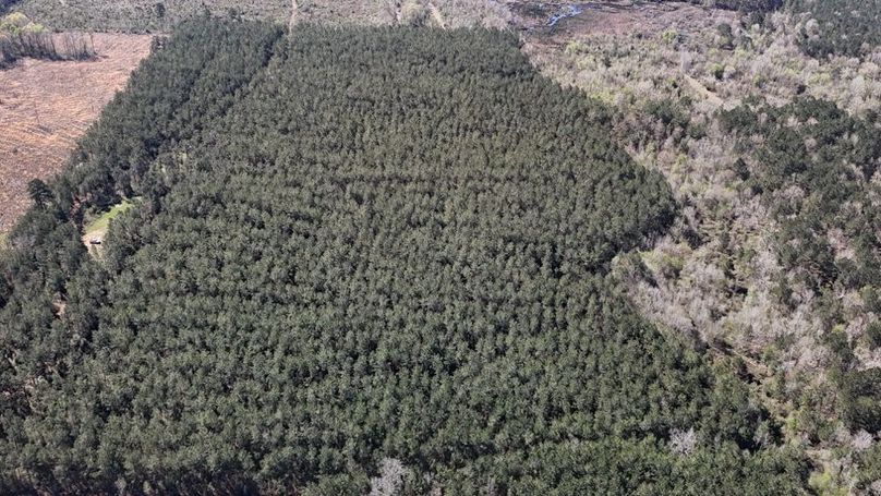 DJI_20260318001911_0125_D