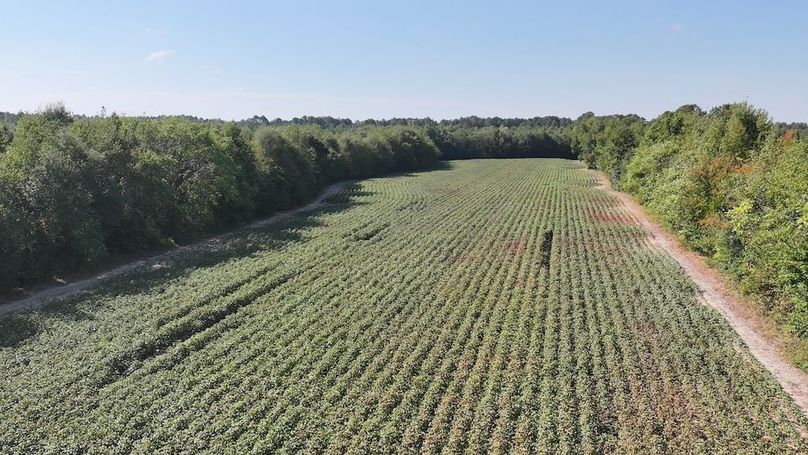 DJI_20250911023855_0314_D