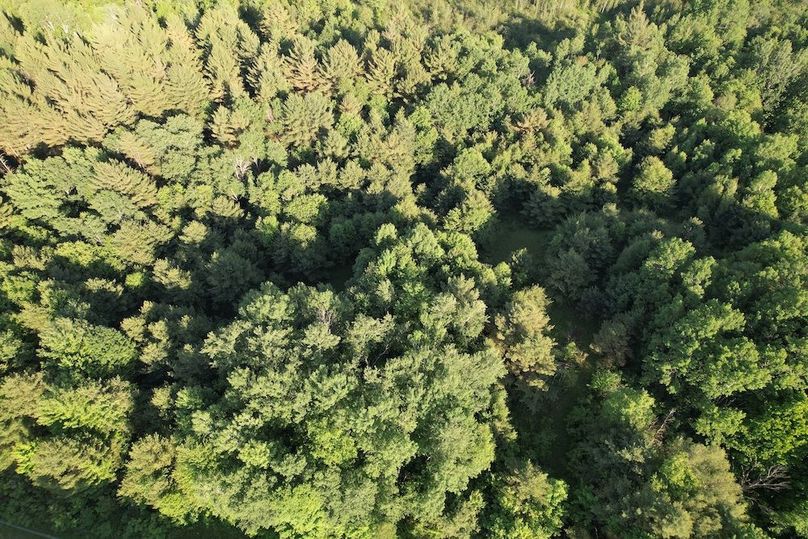 Jefferson_260.3_ Lobach_Photos_50