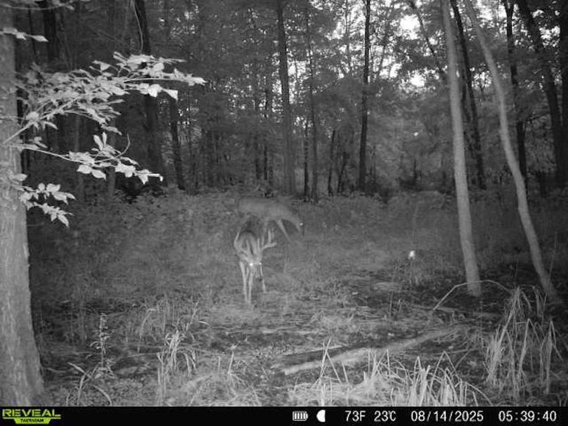 860516068101389-90-3-08142025053940-V-W1000215