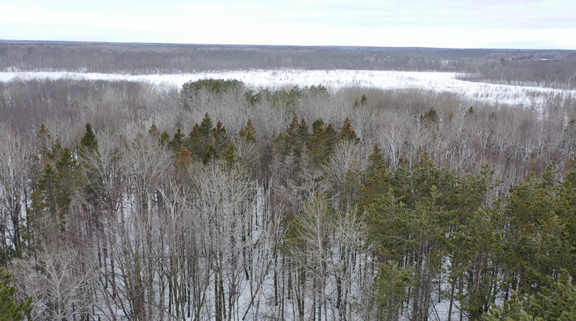 Screenshot 2023-04-04 at 11.19.07 AM