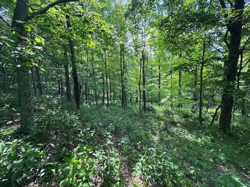 Pleasants, WV 168.59 AC Superior, Swank, Young-059