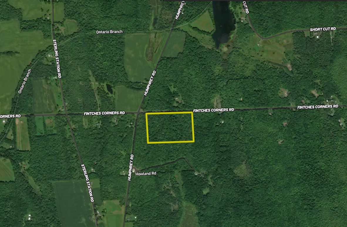 Cayuga_23.5_Demott_Landid_4