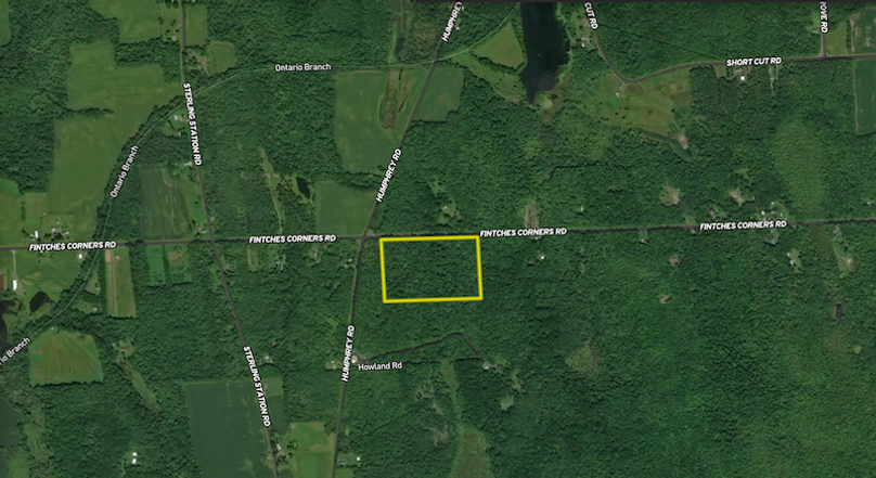Cayuga_23.5_Demott_Landid_4