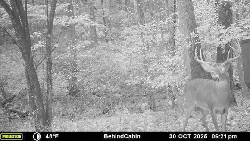 Fleming Petry 115-74