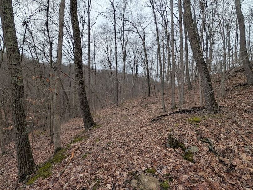 PXL_20260107_210054557