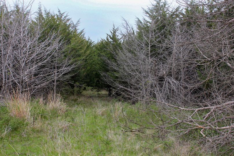 Washington, Co, 83.3_032