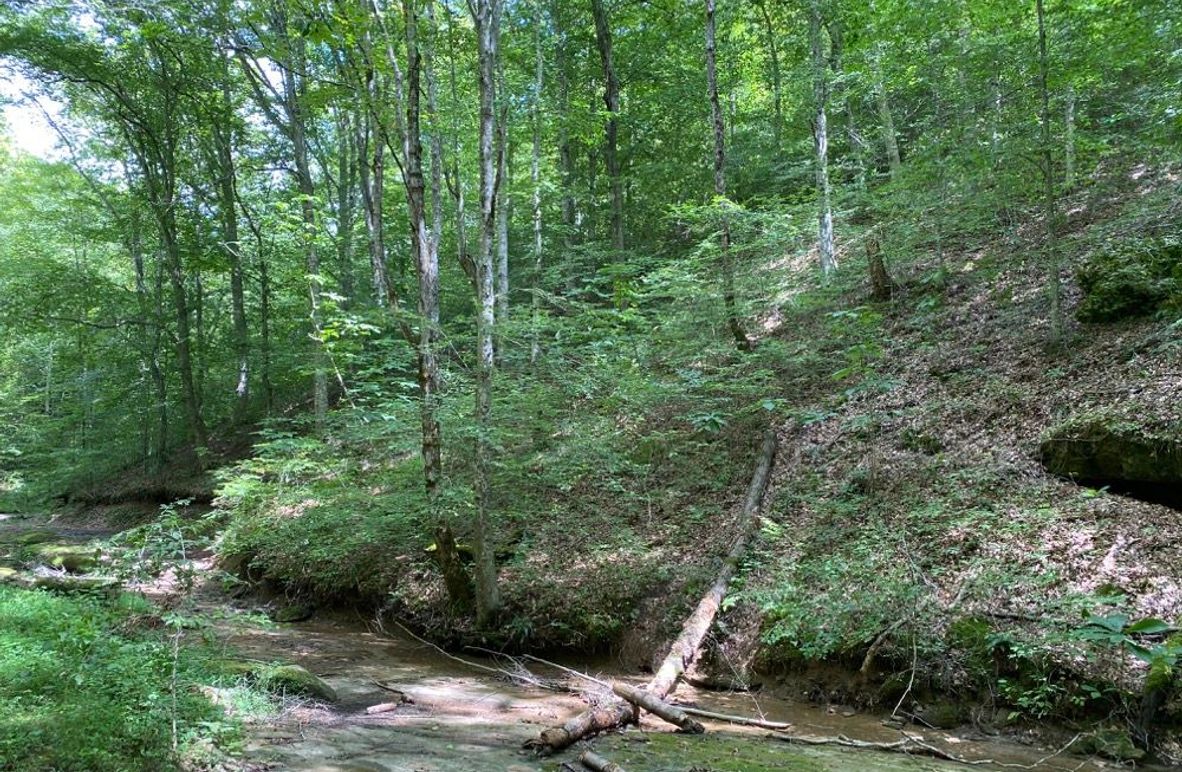 005 north facing hillside in a secondary valley