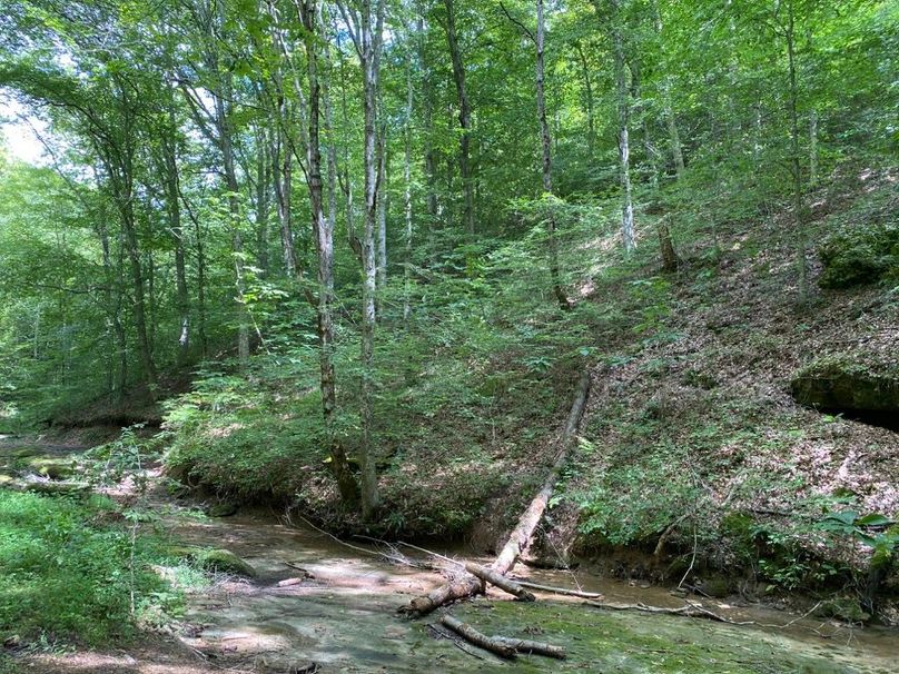 005 north facing hillside in a secondary valley