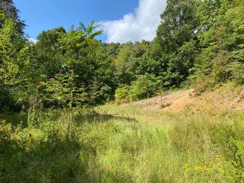 008 small field area mid elevation in the west area of the property