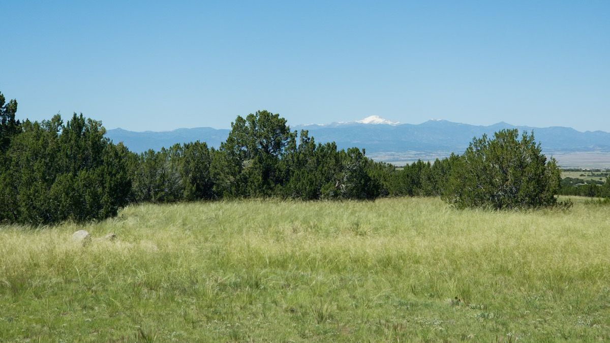 Elevated Building Parcel In Red Creek Ranch | Whitetail Properties