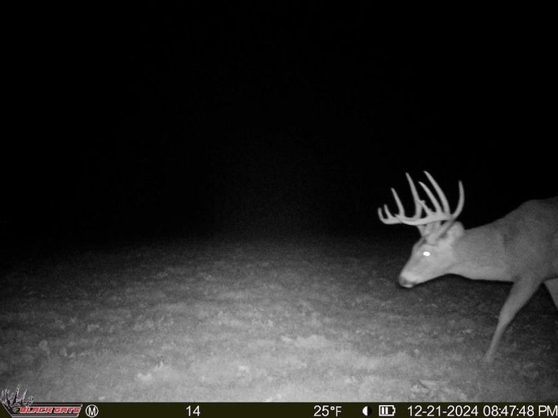 thumb-e4997e3991999ce18852bc7153e469029fac0fc7 (1)