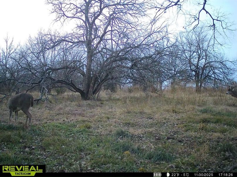 860322065943430-100-3-11302025223050-HD-SYEW1426