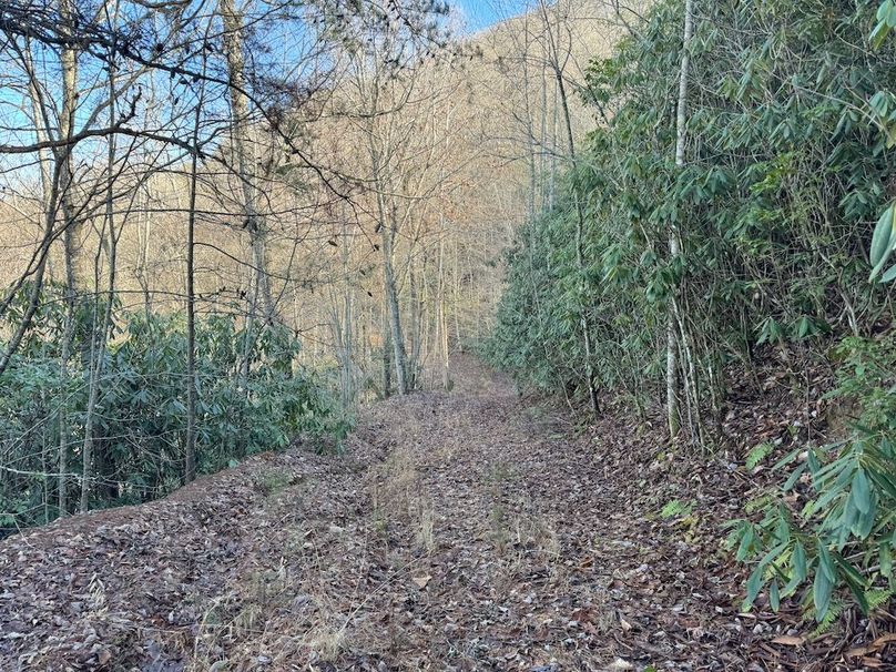 027 Clay 124.76 Fleaback-12