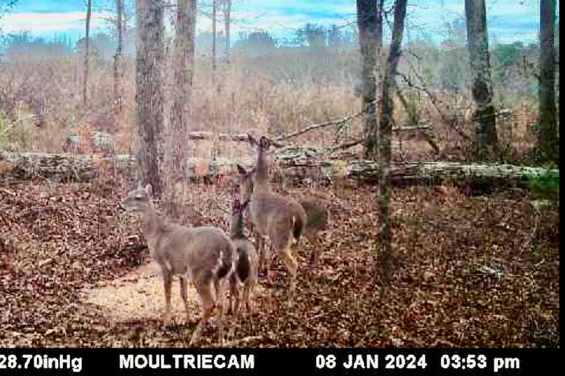 Screenshot_20240108_163101