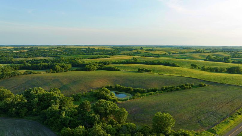 Harrison MO 480 Pro Photo_230 (4)