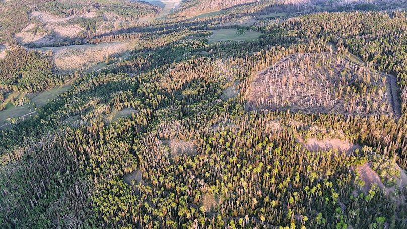 DJI_20250628063255_0126_D
