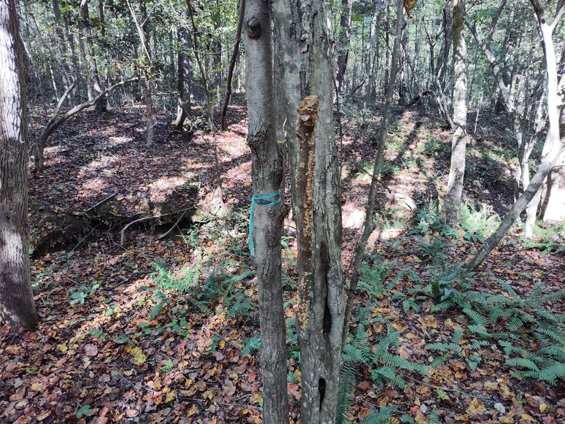 IMG_20231009_151505210