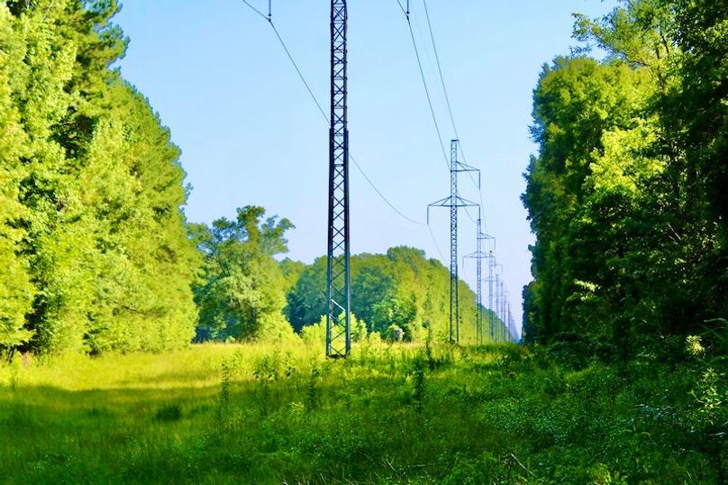 FFC42BD7-35EE-4DD0-A786-6FBB1B479C25_1_201_a