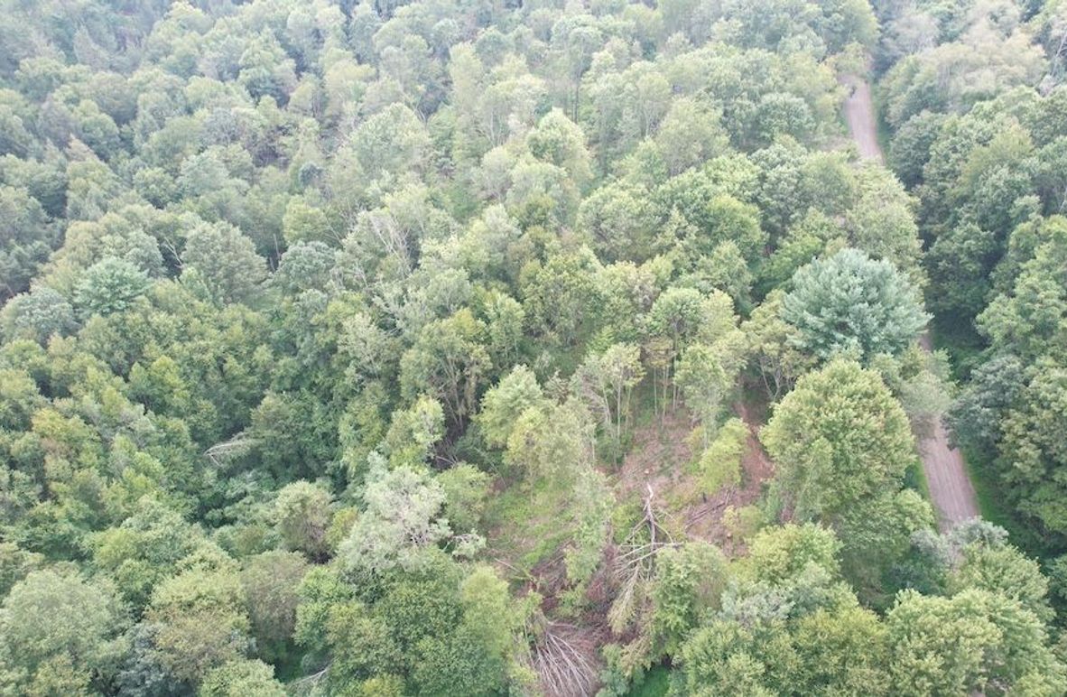 dji_fly_20250806_151832_605_1754528927013_photo