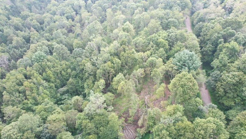 dji_fly_20250806_151832_605_1754528927013_photo