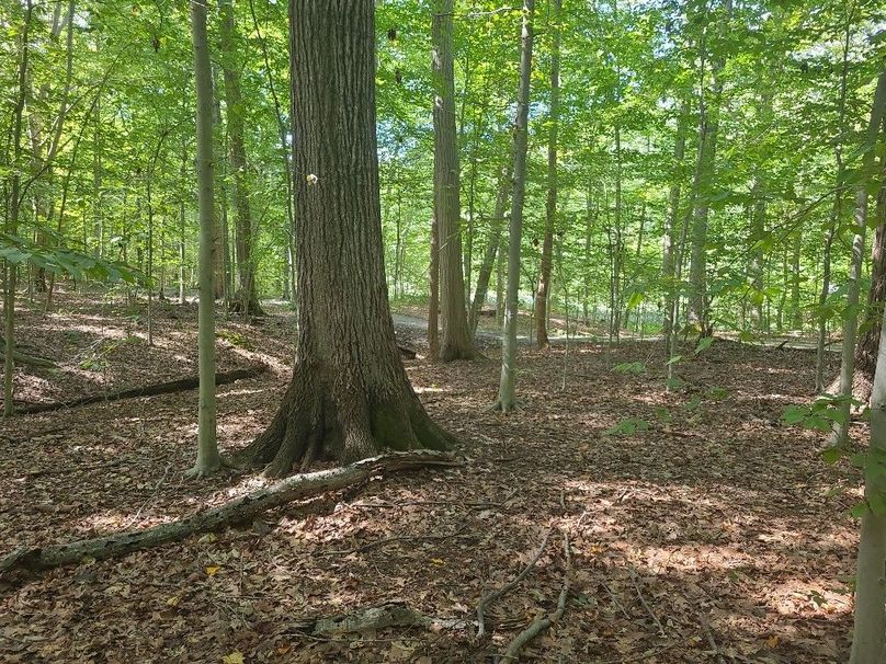 31.40ac_QAnnes_PIC_019