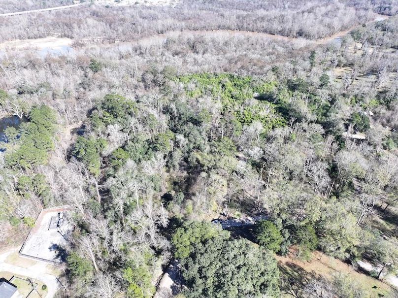 dji_fly_20260127_125526_0980_1769549084692_photo