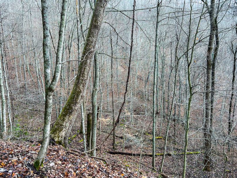 Calhoun, WV 225.69 AC Duffield-72