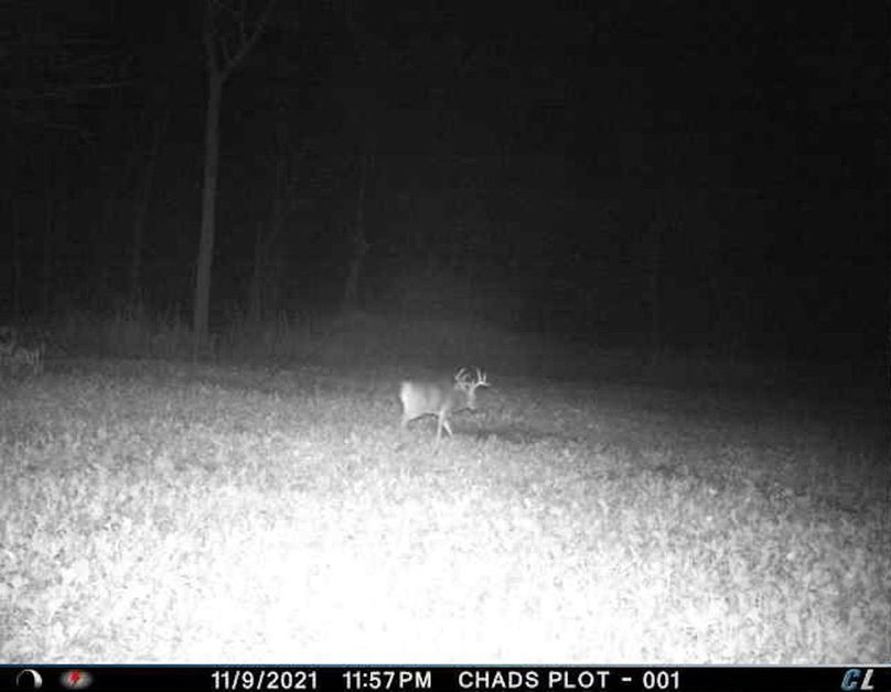 9B73581D-EED0-47D3-BFF9-C62B87F8AACA