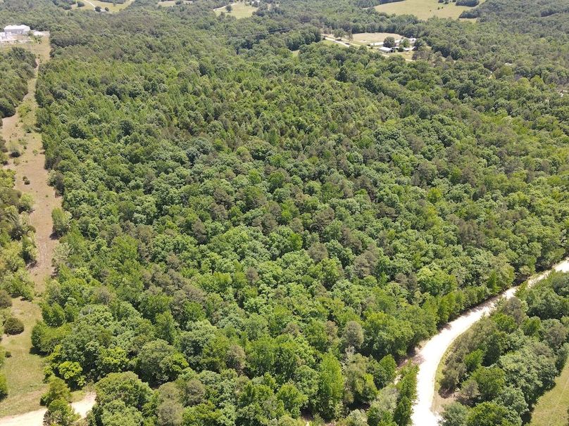 dji_fly_20260514_121550_815_1778779004697_photo