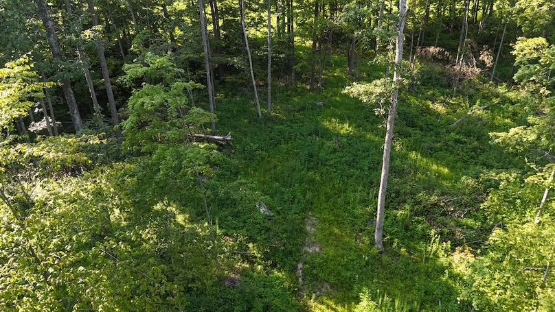 DJI_20250808181949_0814_D